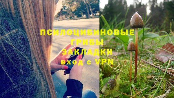 героин Абаза