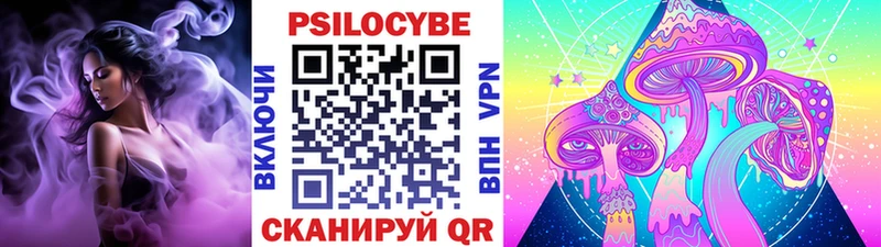 где продают   Тобольск  Псилоцибиновые грибы Psilocybine cubensis 