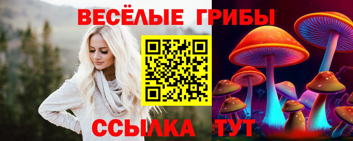 Тобольск  Галлюциногенные грибы MAGIC MUSHROOMS  Вход с VPN 