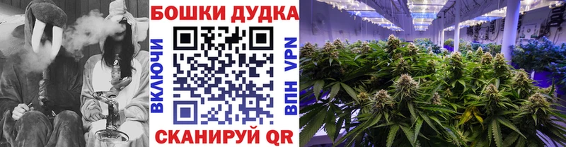 Бошки Шишки SATIVA & INDICA  Тобольск 